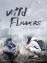 Wild Flowers