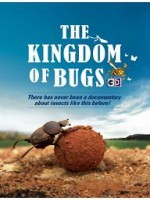 The Kingdom of Bugs