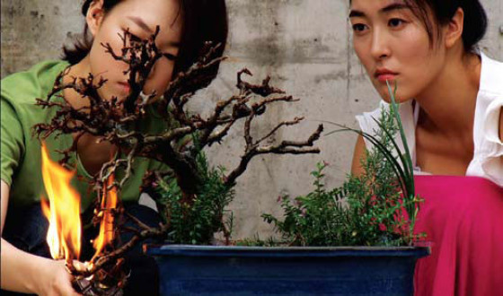 The Current Trends in Korean Cinema at the 12th Jeonju International Film Festival