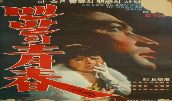 Kim Kee-duk retrospective at Busan