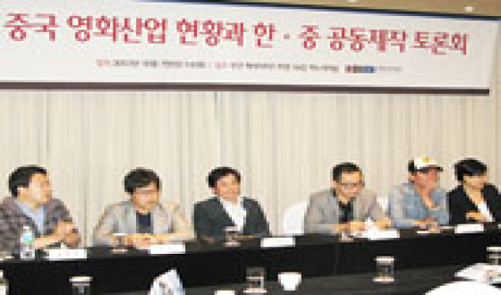 Long-term consultative body for collaboration needed