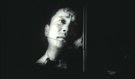 KOFA Issues New Family Film DVD Boxset