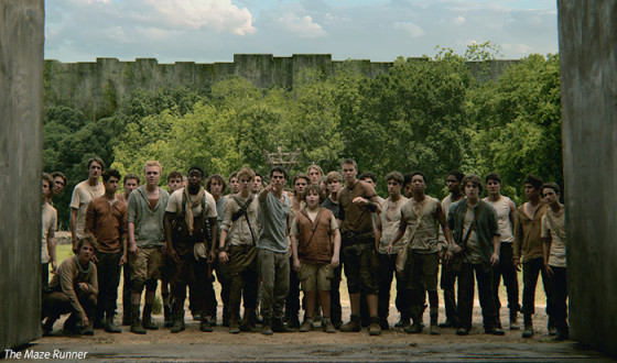 Hollywood Blockbuster The Maze Runner Tops Korean Box Office Chart