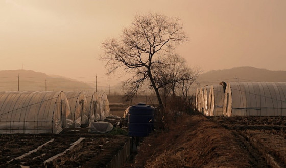 Ten Korean Films Screened in Geneva
