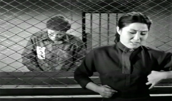 KOFA Adds 4 New Titles to Youtube Channel