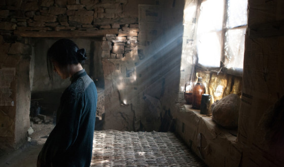 IMMORTAL and WALNUT TREE Triumph at 20th BIFF