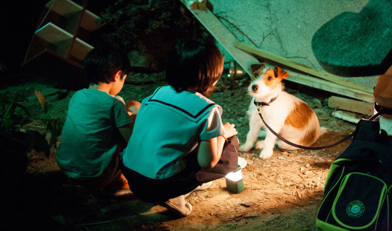 HOW TO STEAL A DOG Snaps Prize in India