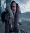 2015 - The Revenant.jpg