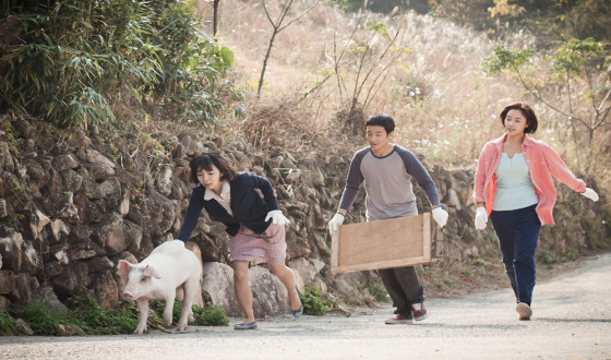 MY SISTER, THE PIG LADY Picks Up Grand Prix in Osaka