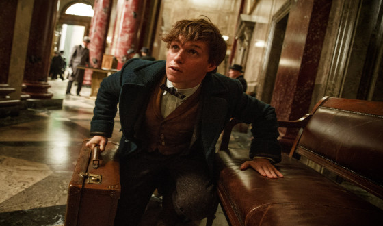 FANTASTIC BEASTS Spellbinds in Opening
