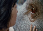 OKJA Received Glowing Cannes Reviews Despite Netflix Controversy