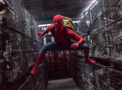 SPIDER-MAN Confidently Slings into First
