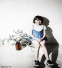 _CSY8520 복사4.jpg