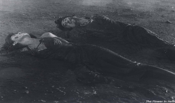 Guimet Museum in France Stages SHIN Sang-ok Retrospective