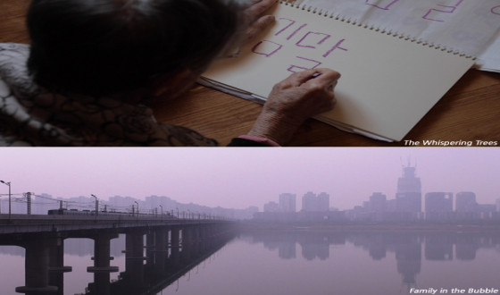 Seoul Independent Documentary Film Festival Reveals 2018 Finalists