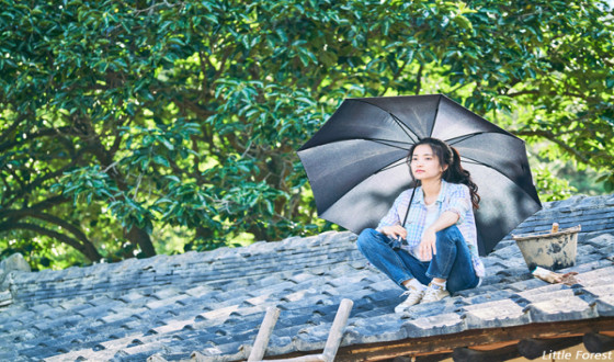 LITTLE FOREST to Bloom in the US