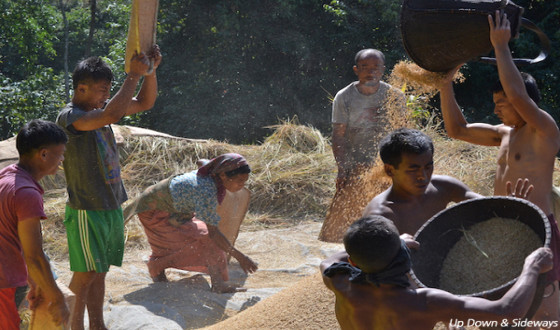 UP DOWN & SIDEWAYS Tops 14th JIMFF Awards