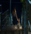 our body 복사.jpg