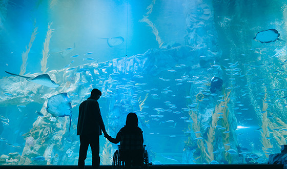 JOSÉE Repeats Atop Quiet Weekend