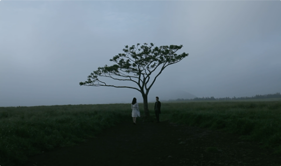 MIRACLE Invited to 38th Fajr International Film Festival