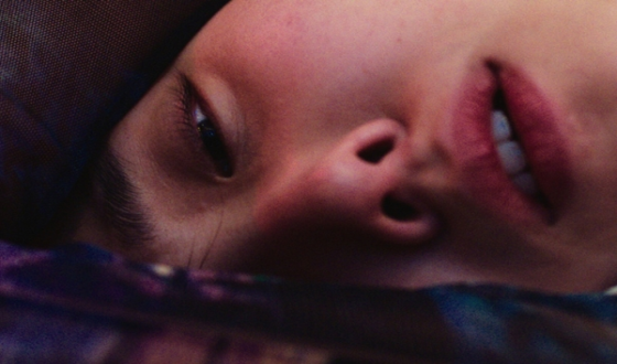 The Fifth Thoracic Vertebra, Officially Invited to the 55th SITGES International Fantastic Film Festival