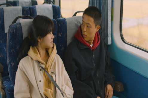 Journeys in Math and Genetics