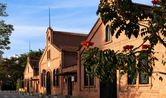 브라질 시네마테카, 박광수 감독 작품으로 한국 뉴웨이브 영화 재조명