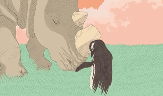 《긴긴밤》, 토론토영화제 센터피스 부문에서 월드 프리미어